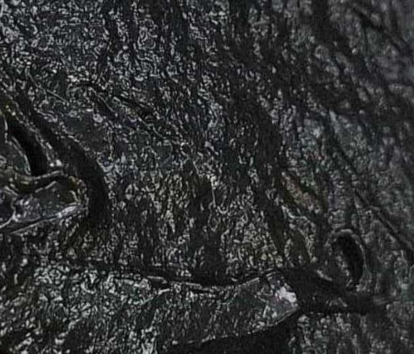 Начинка шоколадная